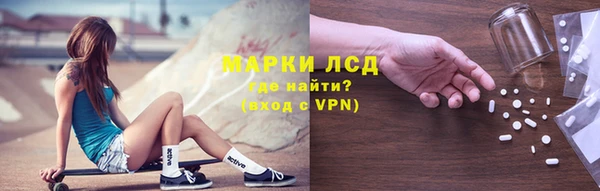ПСИЛОЦИБИНОВЫЕ ГРИБЫ Магас
