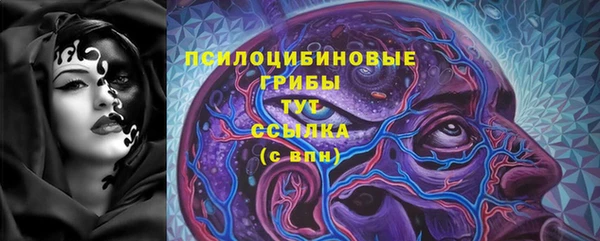 стафф Магадан