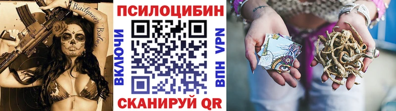где купить наркоту Сальск Псилоцибиновые грибы Cubensis