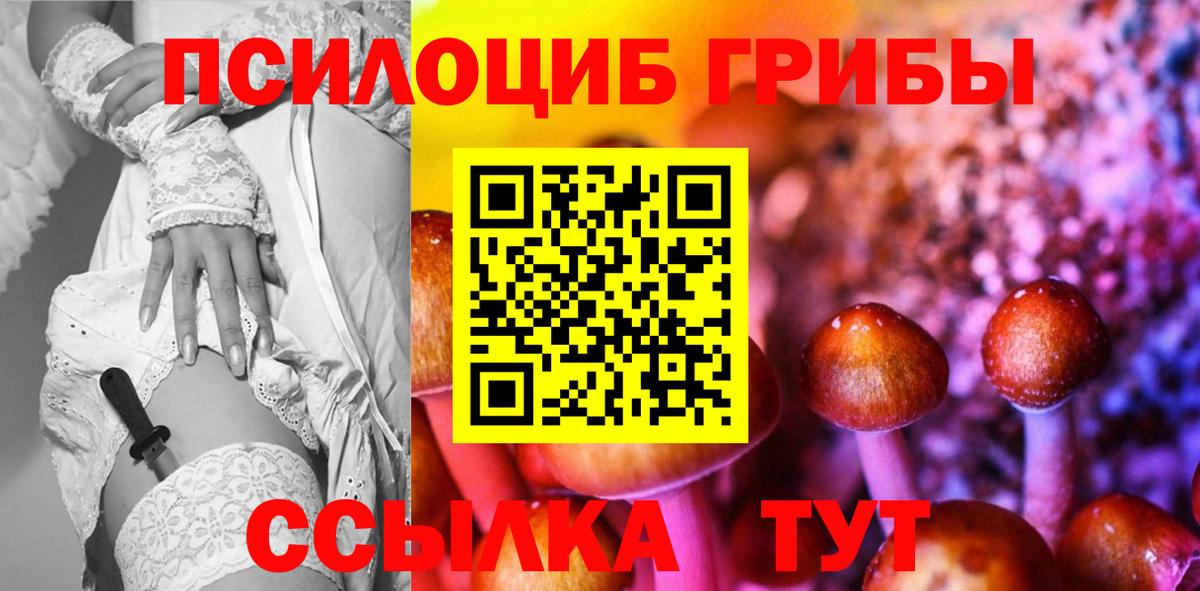 Сальск  цены   Вход с VPN  Галлюциногенные грибы Cubensis  Псилоцибиновые грибы Magic Shrooms 